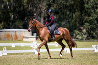 ARCADSG17-5518