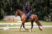 ARCADSG17-5519