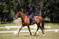 ARCADSG17-5521