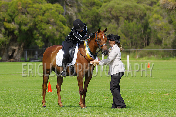ARCA WH 2014-6621