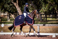 The Valley Equine Vet Centre Dressage with Decorum 2017 Series Final