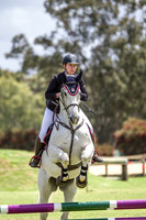 17b Beluga Park 80cm- Riders over 18 years old