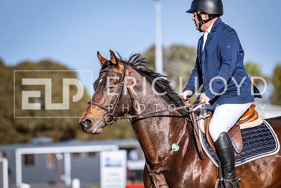 IMGP0284