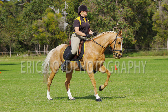 ARCA WH 2014-6548