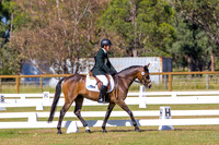 IMGP2988