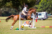 Serpentine HPC ODE 2 Nov 2017 Sat'