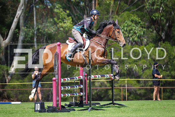 IMGP4881