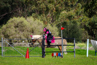 IMGP1389