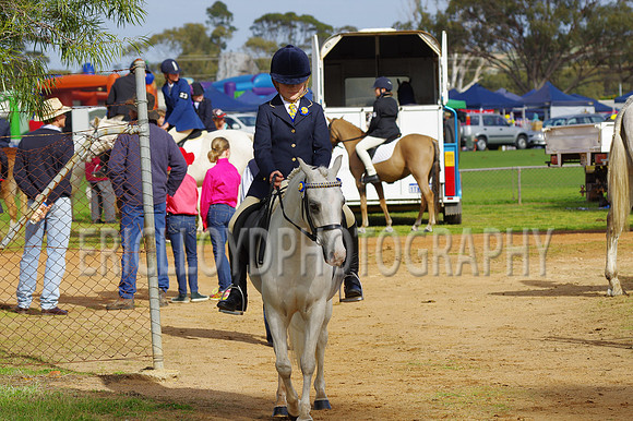 Bev Ag 2014-5090
