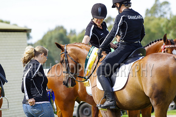ARCA WH 2014-6628