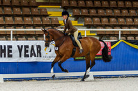 Class 1  Childs Lge Show Hunter over 16H