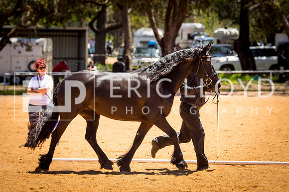 untitled-0224
