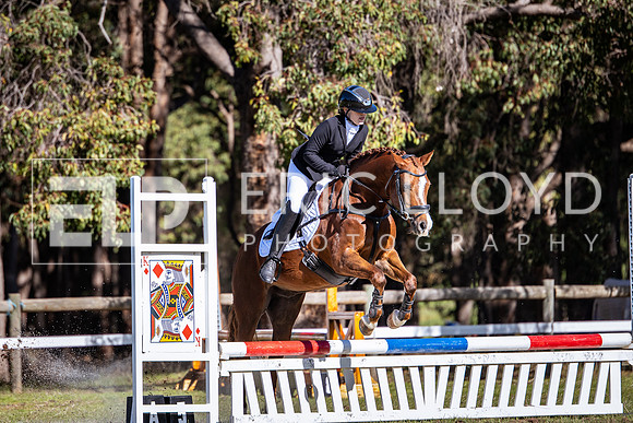 IMGP1775
