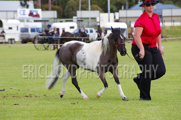 Jess-4486