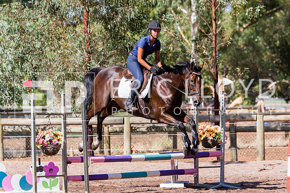 ERIC6496