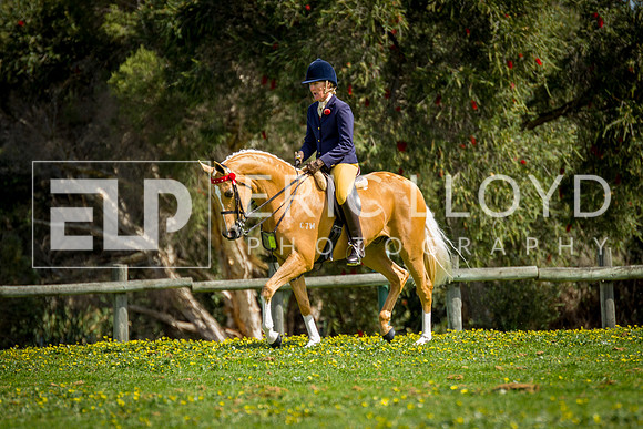 untitled-5025