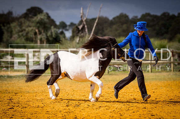 untitled-0736