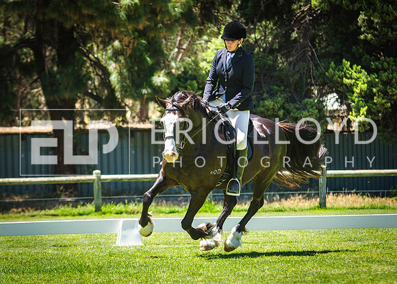 IMGP9347