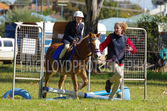 Bev Ag 2014-5167