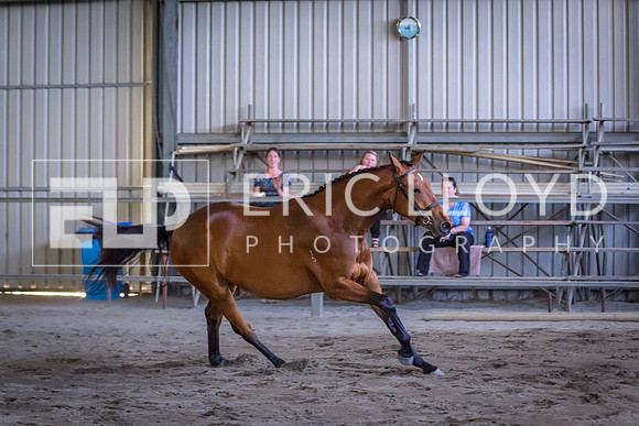 untitled-0251