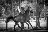 untitled-2657