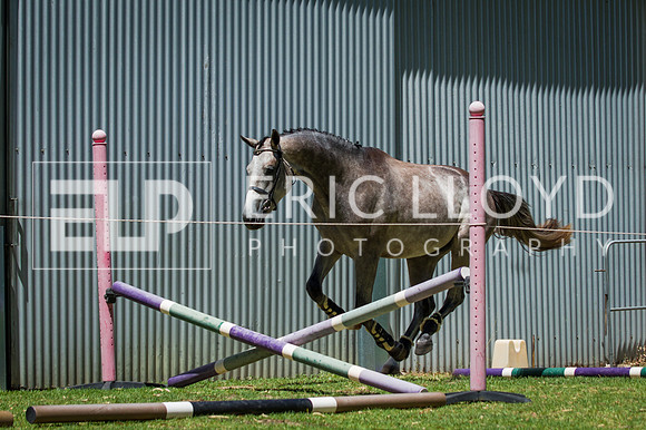 untitled-2708
