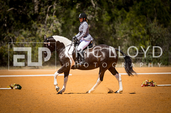untitled-0560