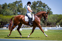 Transitions Unofficial Dressage Day 04.03.2018
