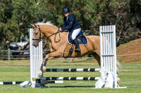 2. Horseland Midland 60cm (Optimum time) + Interschool Qualifier