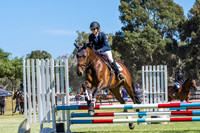 3. Horseland Midland 70cm (Optimum time)+ Interschool Qualifier