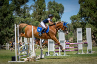 4. Horseland Midland 80cm Article 238.2.2-245.3 (AM7) + Interschool Qualifier