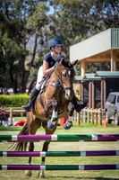 5. Horseland Midland 90cm Article 238.2.2-245.3 (AM7) + Interschool Qualifier