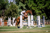3. EWA Jumping Bronze Series 1.15m horses LESS than 20 pts
