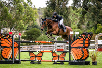 11. Saddles Plus Open 1.40m