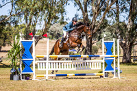 WAYERJL-8293