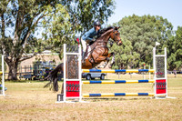 WAYERJL-8296