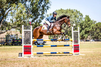 WAYERJL-8297