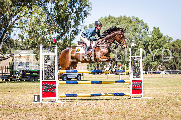 WAYERJL-8297