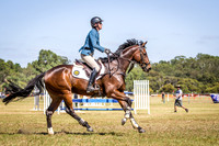 WAYERJL-8299