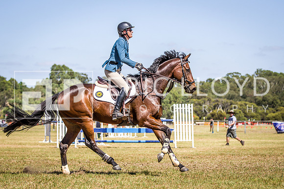WAYERJL-8299
