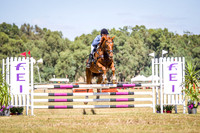 WAYERJL-8301