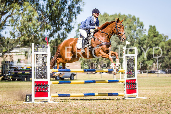 WAYERJL-8310