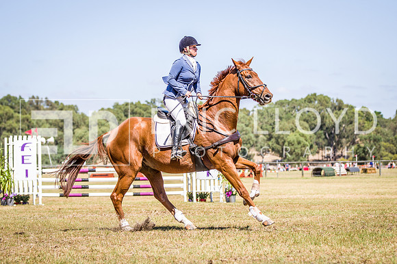 WAYERJL-8311