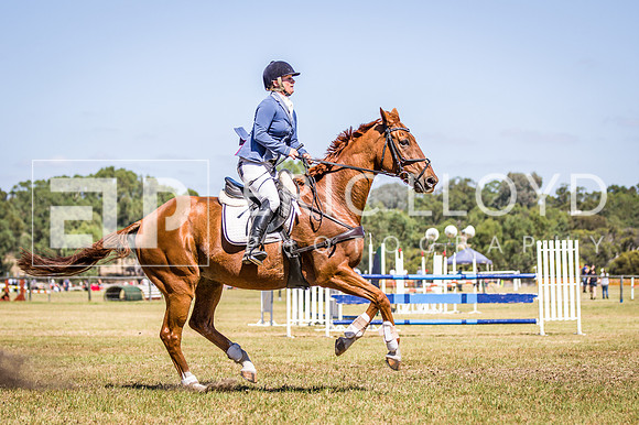 WAYERJL-8314