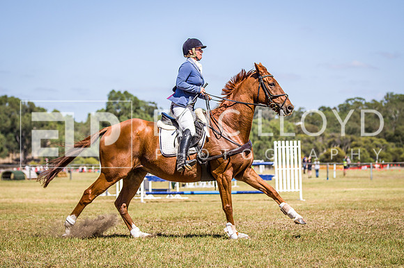 WAYERJL-8315