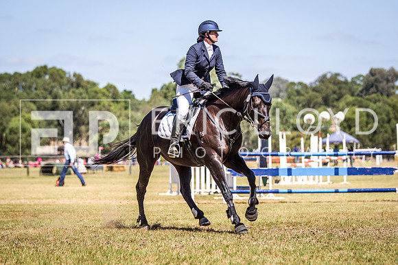 WAYERJL-8319
