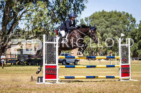 WAYERJL-8326