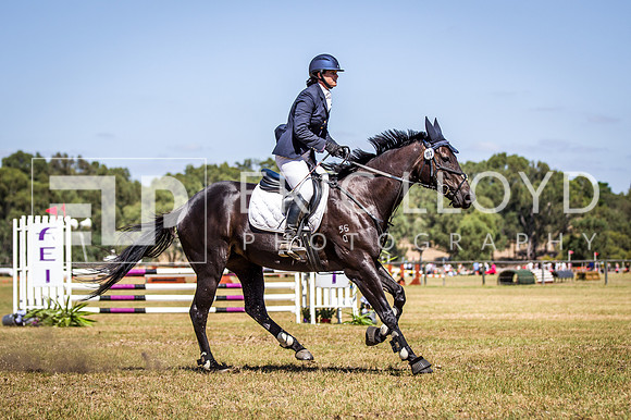 WAYERJL-8327