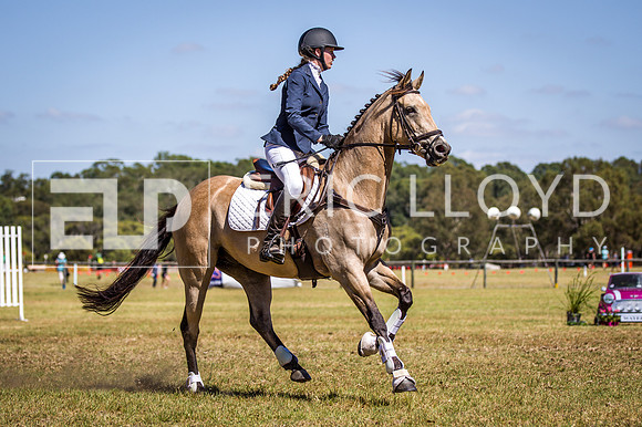 WAYERJL-8335