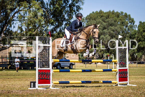 WAYERJL-8342